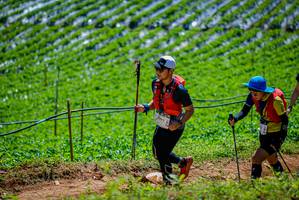 BIB: 
                            <button type="button" onclick="openModal(19164643)" class="btn btn-primary btn-sm float-right btn-popup" data-toggle="modal" data-target=".modal-high-quality">
                        <i class="fas fa-shopping-cart"></i> Add to Cart
                    </button>
                                            <button type="button" onclick="isThisMe(19164643, true)" class="btn btn-success btn-sm float-right btn-popup btn-isme hidden" data-toggle="tooltip" data-placement="bottom" title="นี่คือรูปของคุณใช่ไหม คลิกที่นี่เพื่อเอาเข้าอัลบั้ม">
                        <i class="fas fa-plus"></i> Add to album
                    </button>
                    <button type="button" onclick="isThisMe(19164643, false)" class="btn btn-warning btn-sm float-right btn-popup btn-isnotme hidden">
                        <i class="fas fa-ban"></i> Remove from album
                    </button>